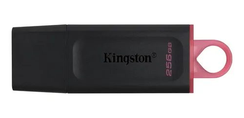 Memoria USB 3.2 de alta Velocidad kingston DataTraveler DTX/256GB