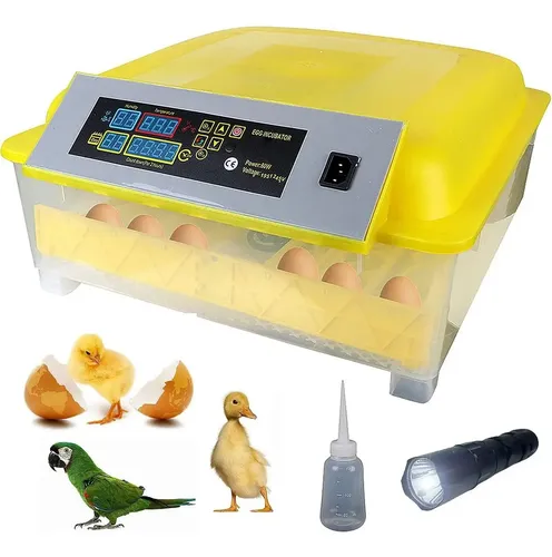 Incubadora 48 Huevos Pollos Y Aves Con Giro Automatico Hhd