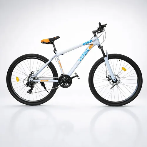 Bicicleta Raptor R29 21v Mtb Freno Disco Suspensión V1per Gris