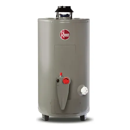 Calentador De Agua Rheem Todo Terreno 48 Litros A Gas Lp 2 Servicios Gris