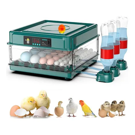38p Incubadora Automática De Aves Yunjas De Corral Nacedora