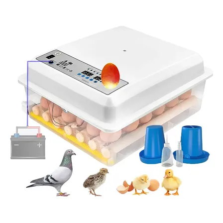 Yunjas Incubadora Automática De Aves De Corral, 36 Piezas