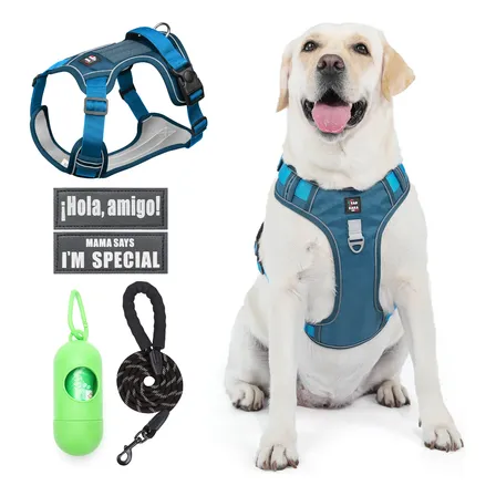 Pechera Arnés Para Perro Ajustable Reflectant Concorrea 1.5m