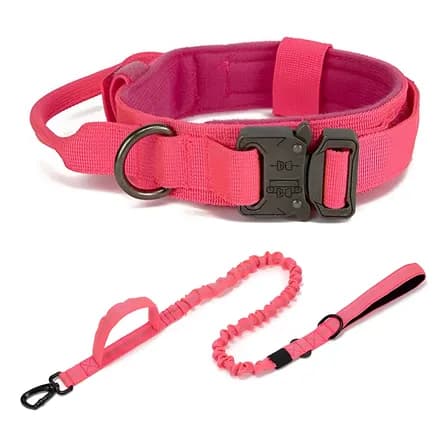 Collar Y Cuerda Para Perros Ajustables De Nailon Y Metal