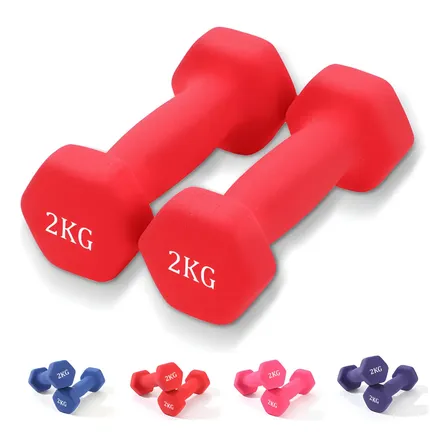 Par Mancuernas De 2 Kilos Ejercicio Pilates Yoga Gym